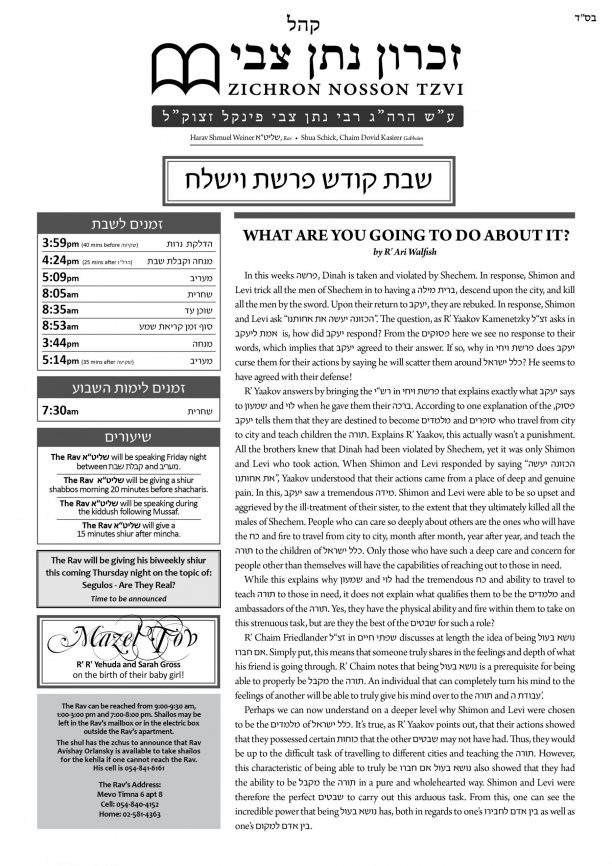 znt-newsletter-5781-2