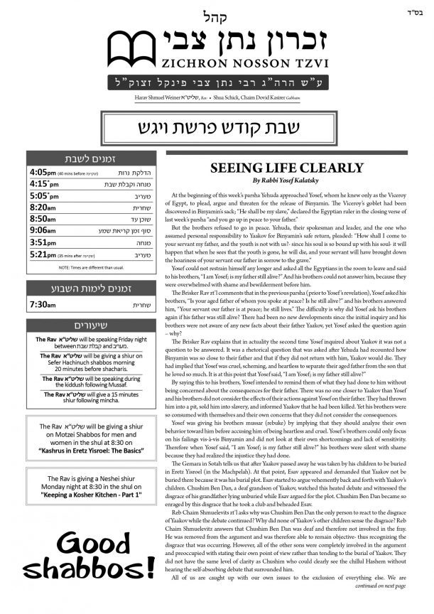 znt-newsletter_vayigash-5781
