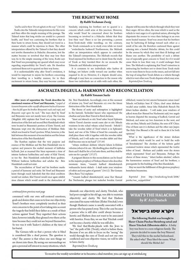 ZNT Newsletter_vayigash 57812