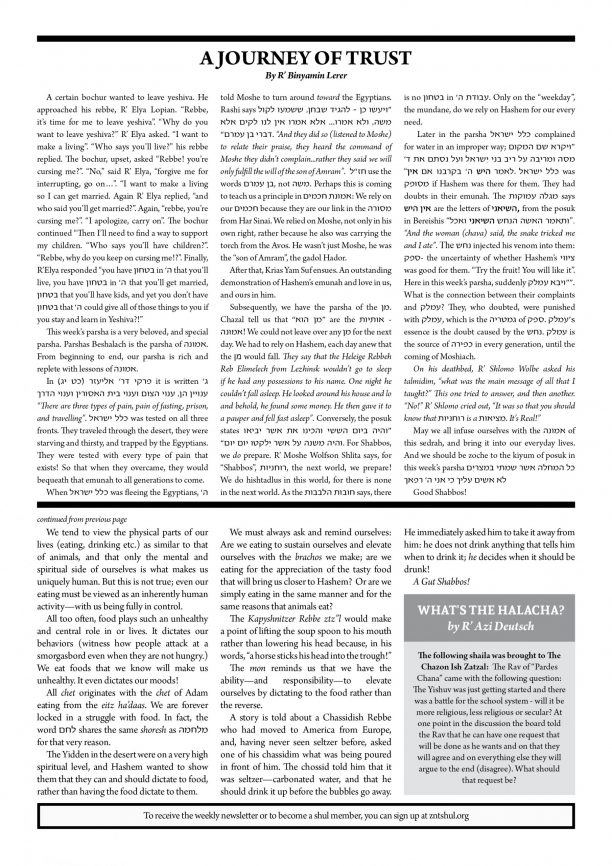 ZNT Newsletter_Beshalach 57812