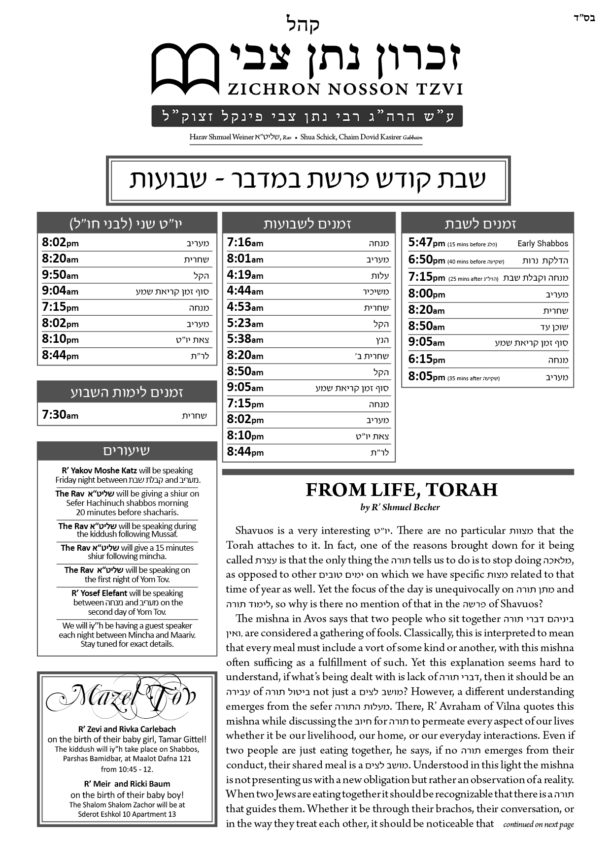 ZNT Newsletter_Bamidbar 5781