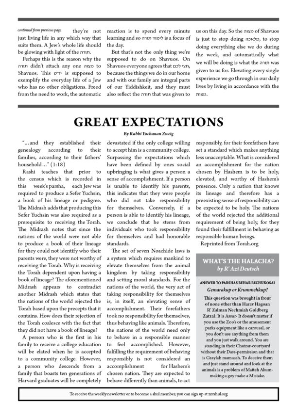 ZNT Newsletter_Bamidbar 57812
