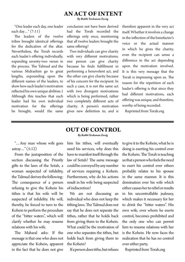 ZNT Newsletter_Naso 57812