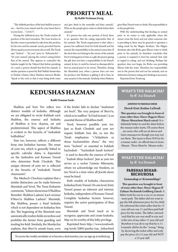 ZNT Newsletter_behar_57812