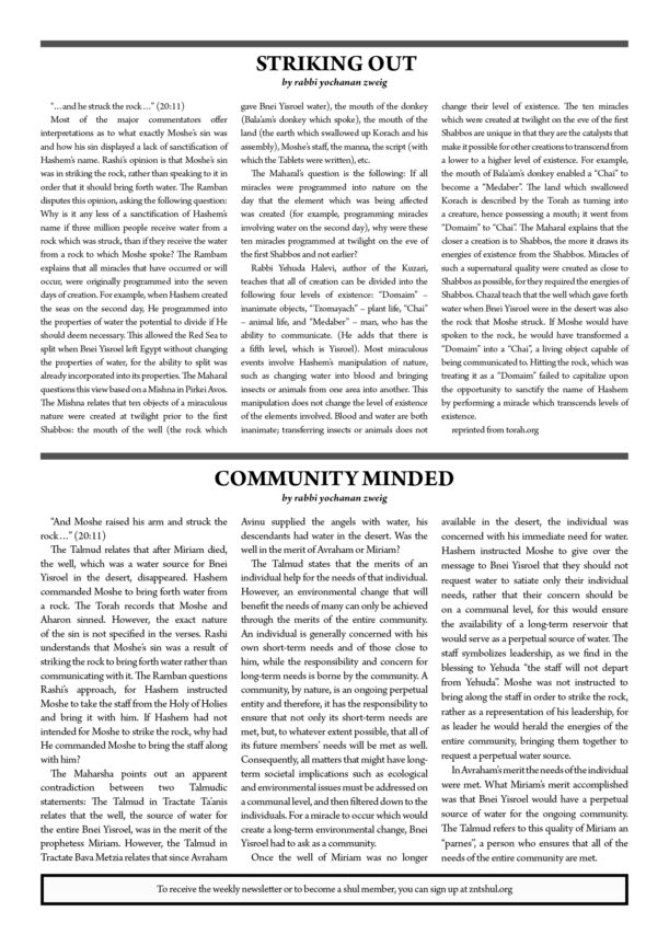 ZNT Newsletter Chukas 57812