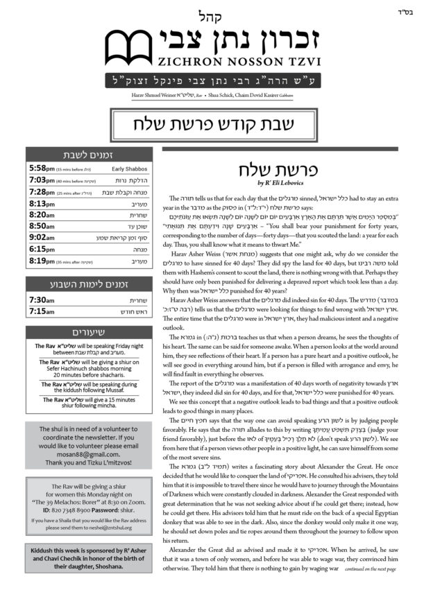 ZNT Newsletter Shlach 5781