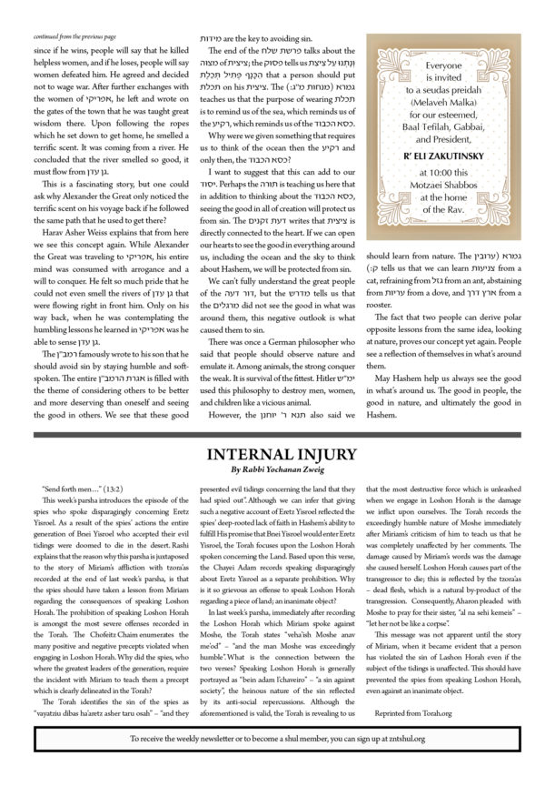 ZNT Newsletter Shlach 57812