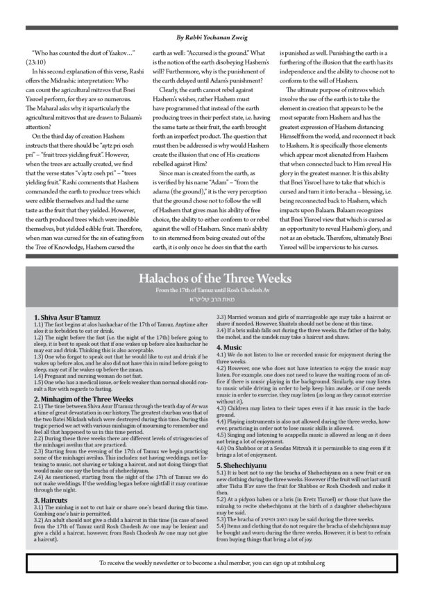 ZNT Newsletter_Balak 57812