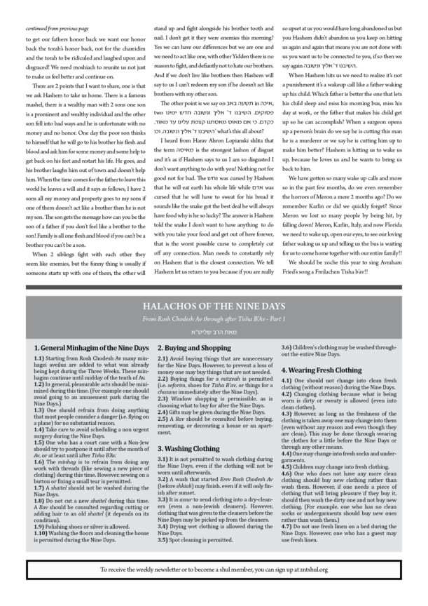 ZNT Newsletter Matos Maasaey2