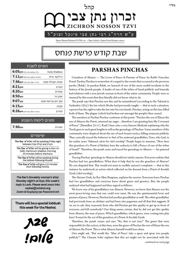 Znt Newsletter_Pinchas 5781