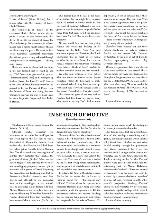 Znt Newsletter_Pinchas 57812