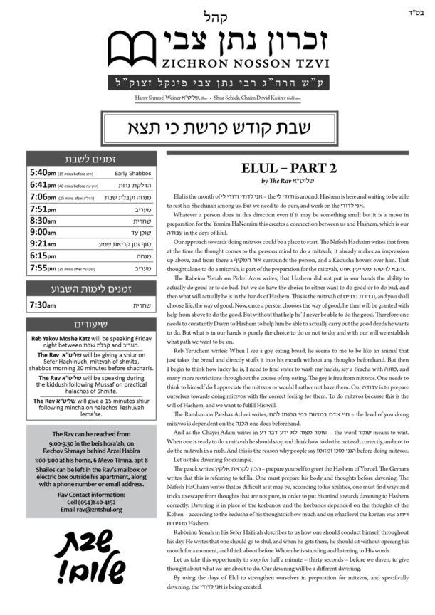 ZNT Newsletter_Ki Seitzei 5781