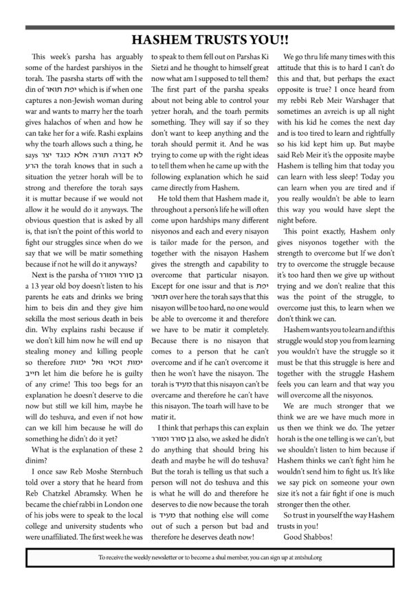 ZNT Newsletter_Ki Seitzei 57812