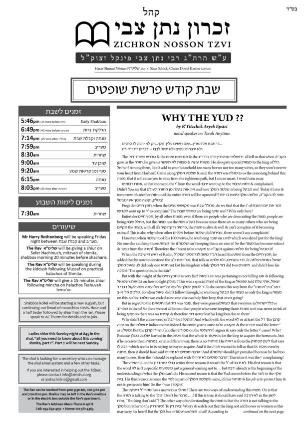 ZNT Newsletter_Shoftim 5781