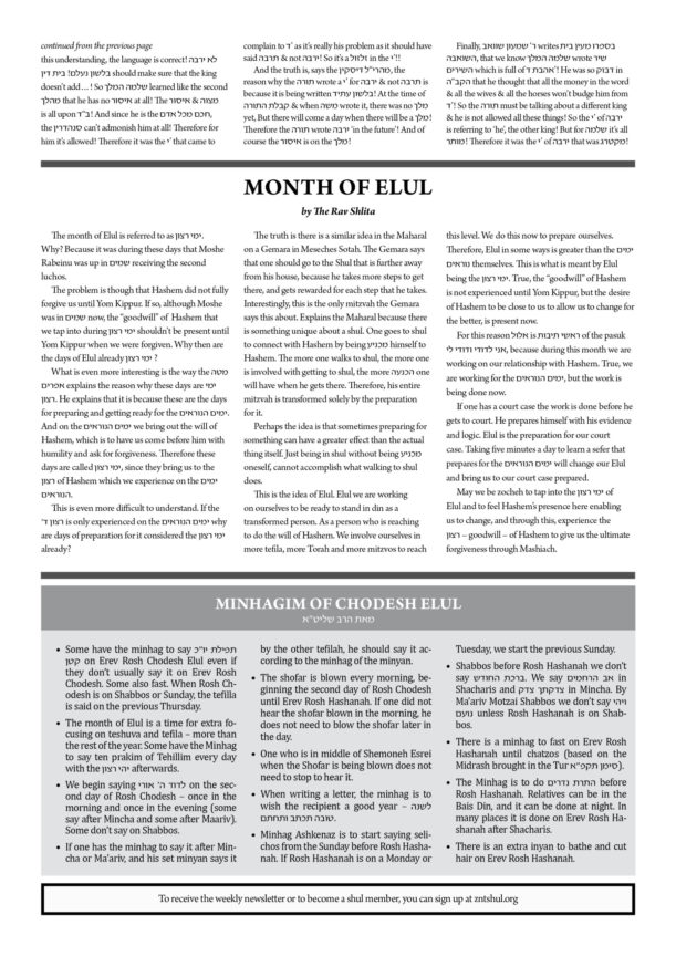 ZNT Newsletter_Shoftim 57812