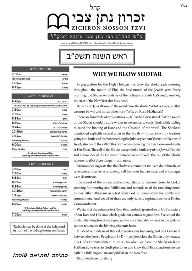 ZNT Newsletter_Rosh Hashana