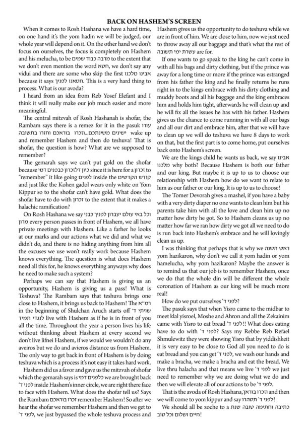 ZNT Newsletter_Rosh Hashana2