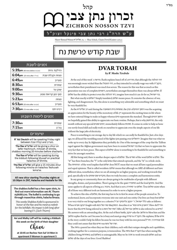 ZNT Newsletter_Noach 5782