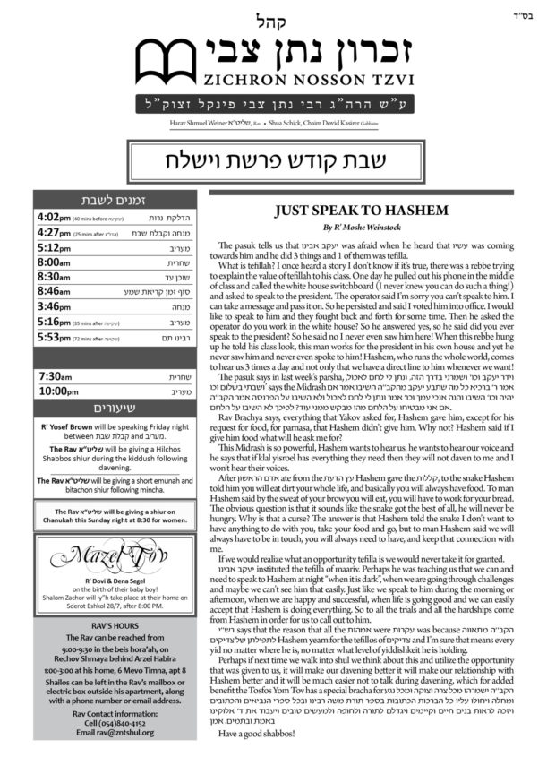 ZNT Newsletter Parshas Vayishlach 5782