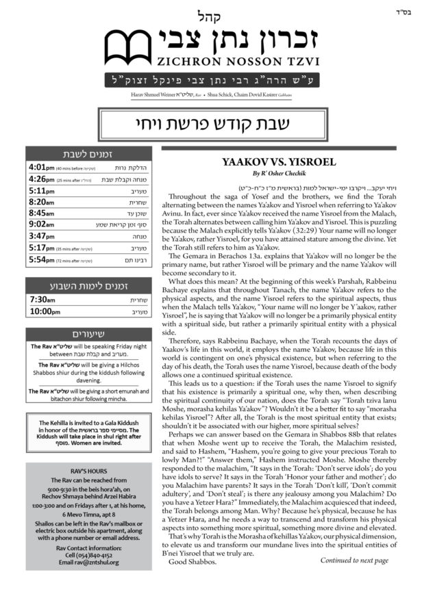ZNT Newsletter Parshas Vayechi 5782